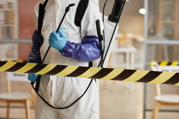 Professional Biohazard technician working in Hiwasse, AR